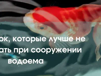 10 ошибок, которые лучше не допускать при сооружении водоема