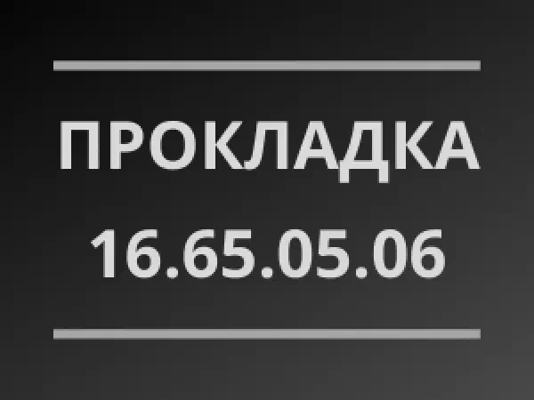 Резиновая прокладка 16.65.05.06